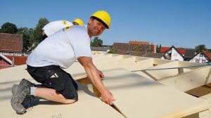 best wood Schneider TOP