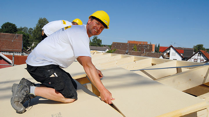 best wood Schneider TOP